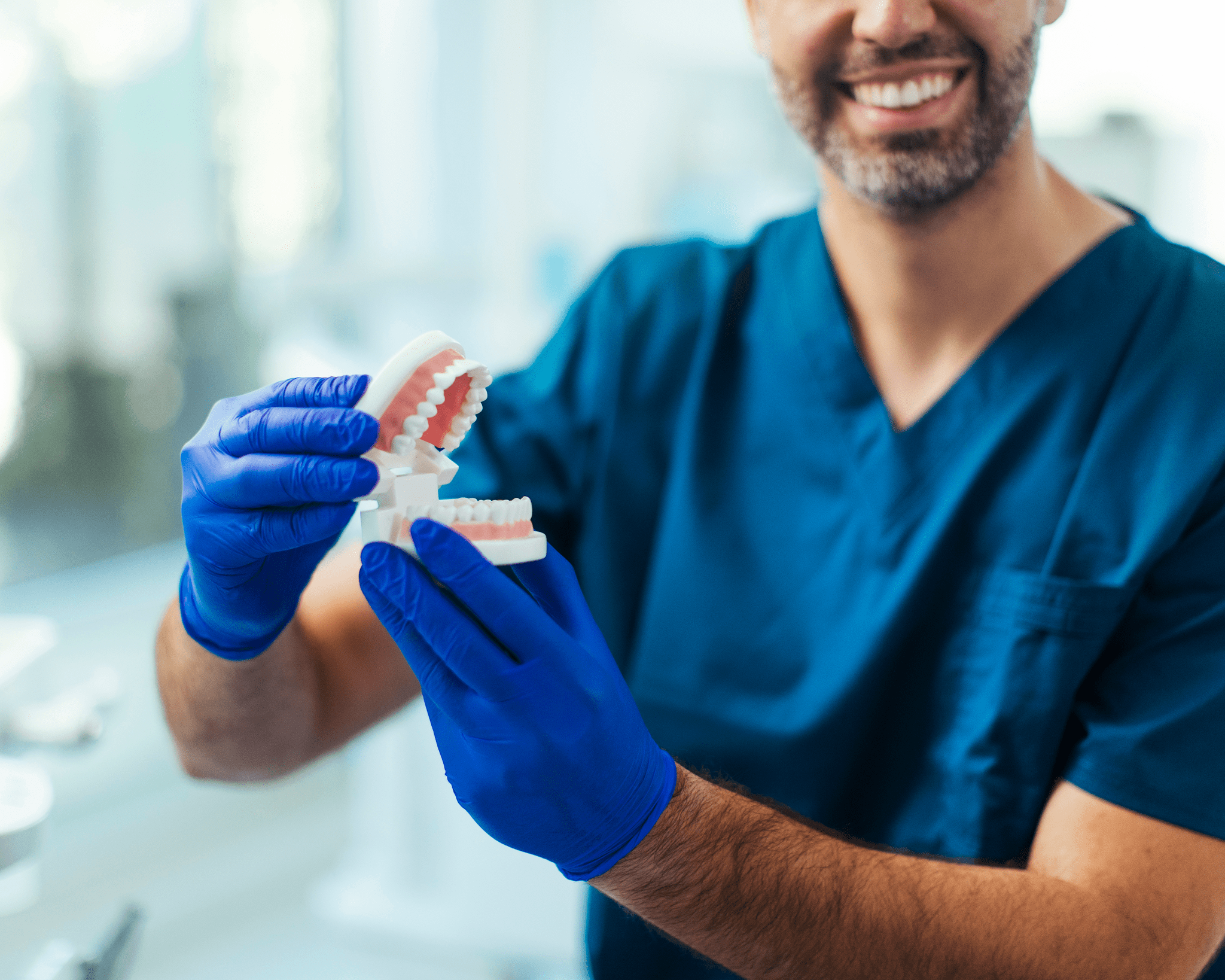 Smiling dentist holding dental model with gloves